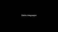 Link til Delvis integrasjon
