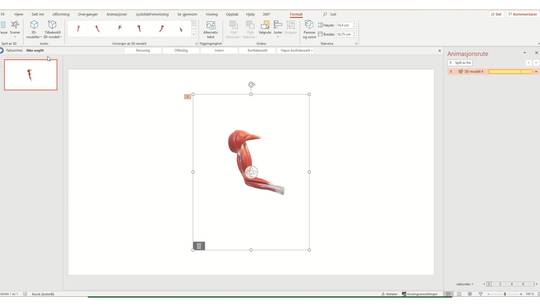 Link til Velge scene på 3D-modeller i PowerPoint
