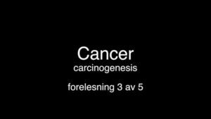 Link til Cancer - carcinogenesis